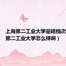 上海第二工业大学是啥档次(上海第二工业大学怎么样啊)