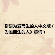 你是为爱而生的人中文版(《你是为爱而生的人》歌词)