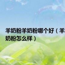 羊奶粉羊奶粉哪个好(羊滋滋羊奶粉怎么样)