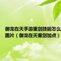 御龙在天手游重剑技能怎么搭配带图片(御龙在天重剑加点)