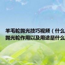 羊毛轮抛光技巧视频(什么是羊毛抛光轮作用以及用途是什么)