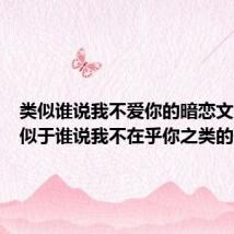 类似谁说我不爱你的暗恋文(求类似于谁说我不在乎你之类的歌曲)