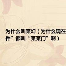 为什么叫某幻(为什么现在的“事件”都叫“某某门”啊)
