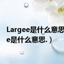 Largee是什么意思(Gee是什么意思.)