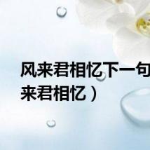 风来君相忆下一句（风来君相忆）