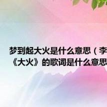 梦到起大火是什么意思(李佳薇的《大火》的歌词是什么意思)