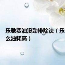 乐驰费油没劲排除法(乐驰为什么油耗高)