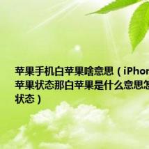 苹果手机白苹果啥意思(iPhone会变白苹果状态那白苹果是什么意思怎样的一个状态)