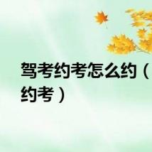 驾考约考怎么约（驾考约考）