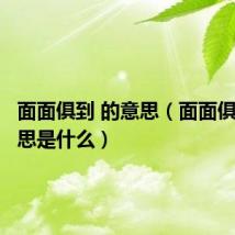 面面俱到 的意思(面面俱到的意思是什么)