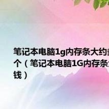 笔记本电脑1g内存条大约多少钱一个(笔记本电脑1G内存条大约多少钱)