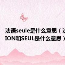 法语seule是什么意思(法语中FION和SEUL是什么意思)