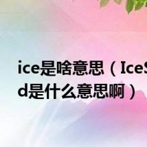 ice是啥意思(IceSword是什么意思啊)