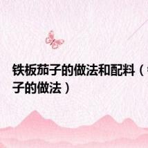 铁板茄子的做法和配料(铁板茄子的做法)