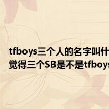 tfboys三个人的名字叫什么(你觉得三个SB是不是tfboys)