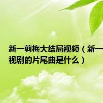 新一剪梅大结局视频(新一剪梅电视剧的片尾曲是什么)