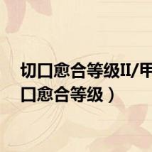 切口愈合等级II/甲(切口愈合等级)