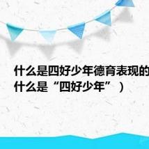 什么是四好少年德育表现的内容(什么是“四好少年”)