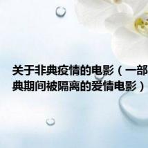 关于非典疫情的电影(一部关于非典期间被隔离的爱情电影)