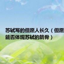 苏轼写的但愿人长久(但愿人长久能否体现苏轼的筋骨)