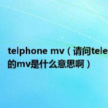 telphone mv(请问telephone的mv是什么意思啊)