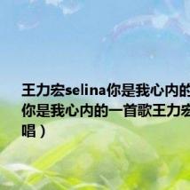 王力宏selina你是我心内的一首歌(你是我心内的一首歌王力宏和谁对唱)