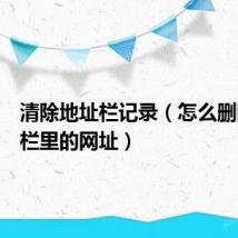 清除地址栏记录(怎么删除地址栏里的网址)