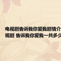 电视剧告诉我你爱我剧情介绍(电视剧 告诉我你爱我一共多少集)