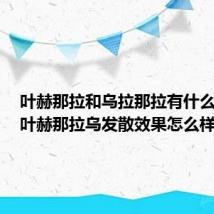叶赫那拉和乌拉那拉有什么关系(叶赫那拉乌发散效果怎么样)