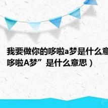 我要做你的哆啦a梦是什么意思（“哆啦A梦”是什么意思）