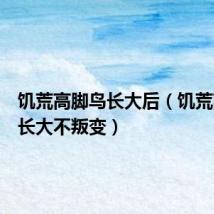 饥荒高脚鸟长大后(饥荒高脚鸟长大不叛变)