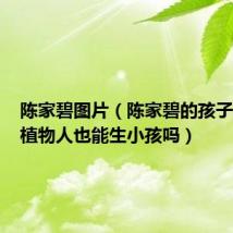 陈家碧图片(陈家碧的孩子是谁的植物人也能生小孩吗)