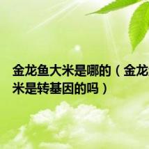 金龙鱼大米是哪的(金龙鱼的大米是转基因的吗)