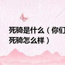 死骑是什么（你们觉得死骑怎么样）