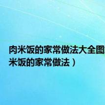 肉米饭的家常做法大全图解(肉米饭的家常做法)