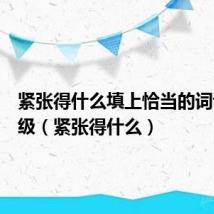 紧张得什么填上恰当的词语三年级(紧张得什么)