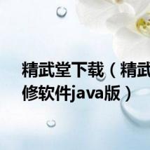 精武堂下载(精武堂自修软件java版)