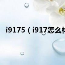 i9175(i917怎么样)