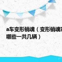 a车变形销魂(变形销魂家族有哪些一共几辆)