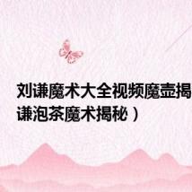 刘谦魔术大全视频魔壶揭秘(刘谦泡茶魔术揭秘)