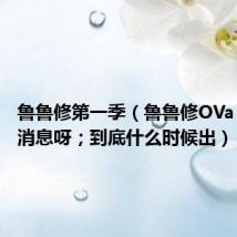 鲁鲁修第一季(鲁鲁修OVa 有没有消息呀;到底什么时候出)