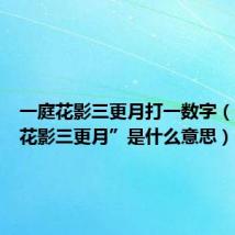 一庭花影三更月打一数字(“一庭花影三更月”是什么意思)