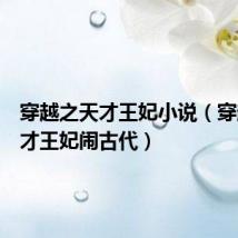 穿越之天才王妃小说(穿越之天才王妃闹古代)