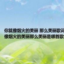 你就像烟火的美丽 那么美丽歌词(你就像烟火的美丽那么美丽是哪首歌的歌词)