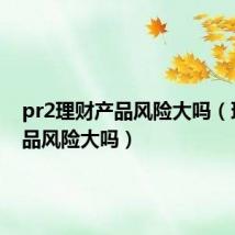 pr2理财产品风险大吗(理财产品风险大吗)