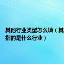 其他行业类型怎么填(其他行业指的是什么行业)