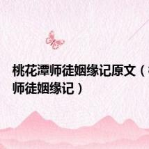 桃花潭师徒姻缘记原文(桃花潭师徒姻缘记)
