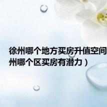 徐州哪个地方买房升值空间大(徐州哪个区买房有潜力)