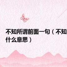 不知所谓前面一句(不知所谓是什么意思)
