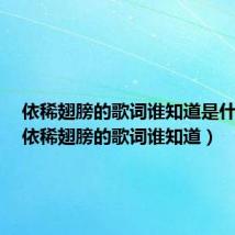 依稀翅膀的歌词谁知道是什么歌(依稀翅膀的歌词谁知道)